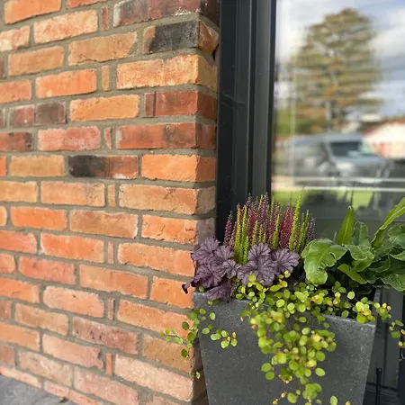 Borowe Apartamenty * Borowe