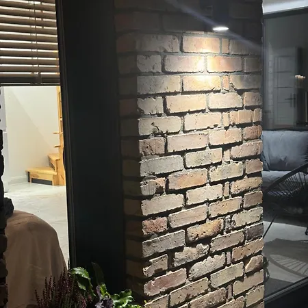 Borowe Apartamenty *