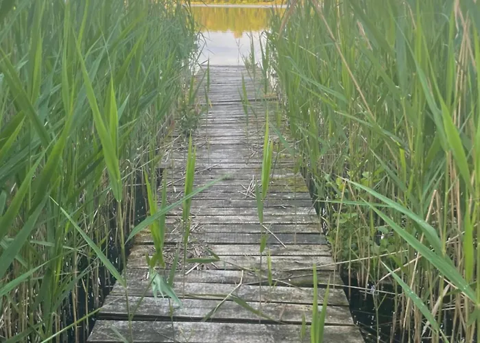 Borowe Apartamenty *