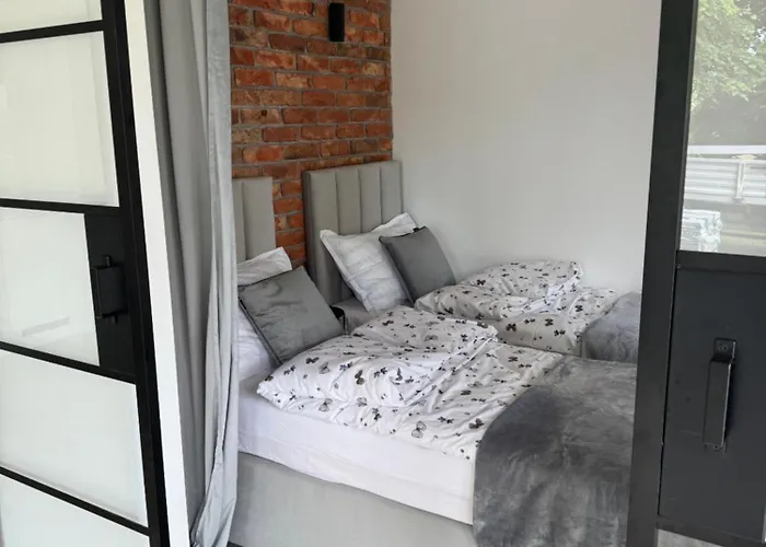 Borowe Apartamenty *